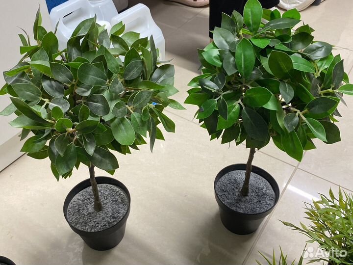 Искусственные цветы IKEA