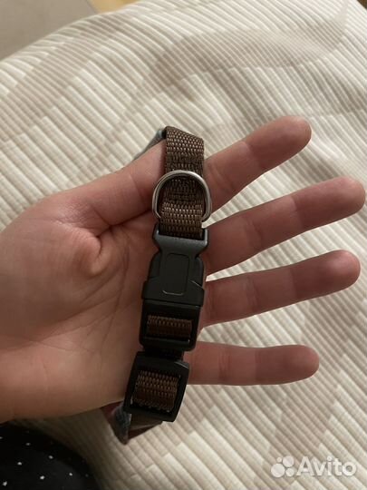 Ошейник бандана Rurri