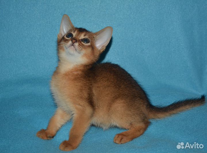 Самые красивые