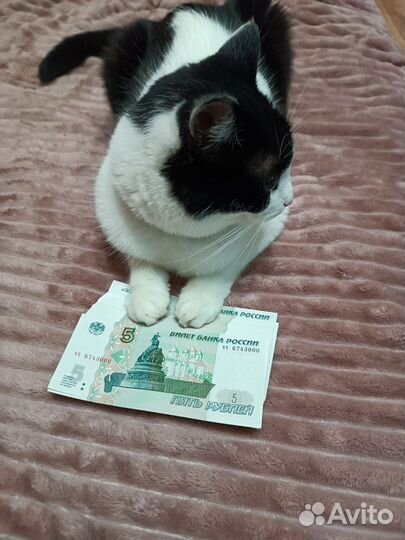 Бумажные деньги 5 1997 года образца