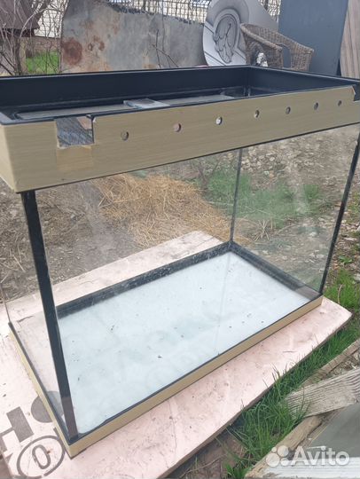 Нанакара, Барбус,Радужница, Тетра, пецилия