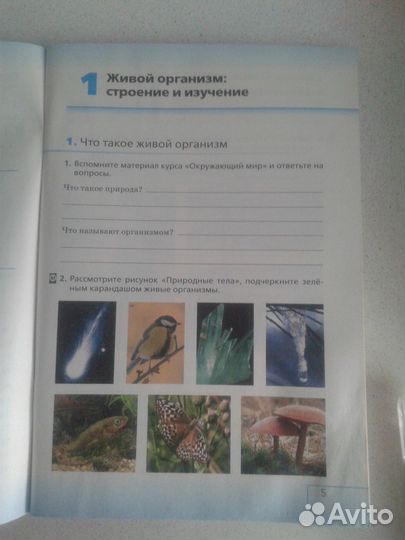 Биология 5 класс Раб. тетрадь