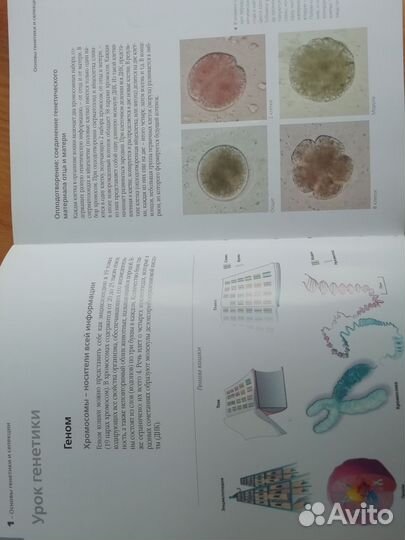 Учебник по фелинологии любителям кошек