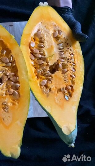 Семена тыквы Blue Hubbard (Голубой Хаббард) 2023