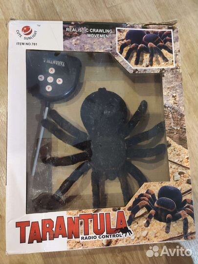 Паук тарантул на пульте управления