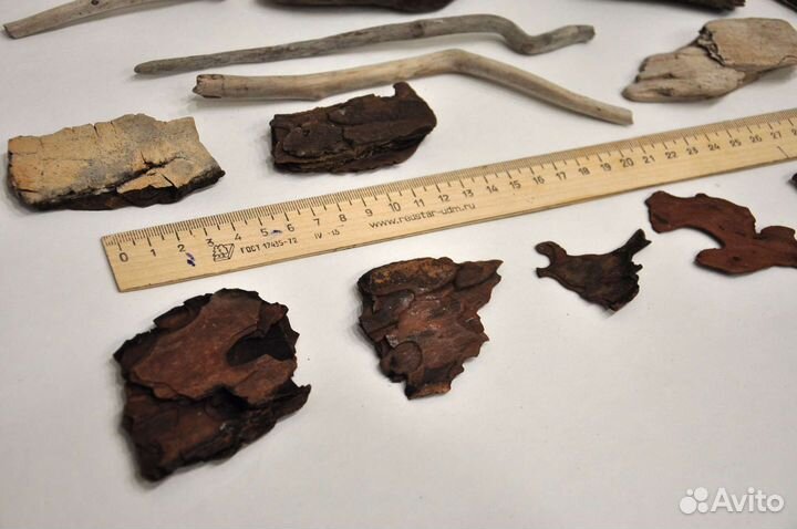 Наборы для творчества дрифтвуд, ракушки, устрицы