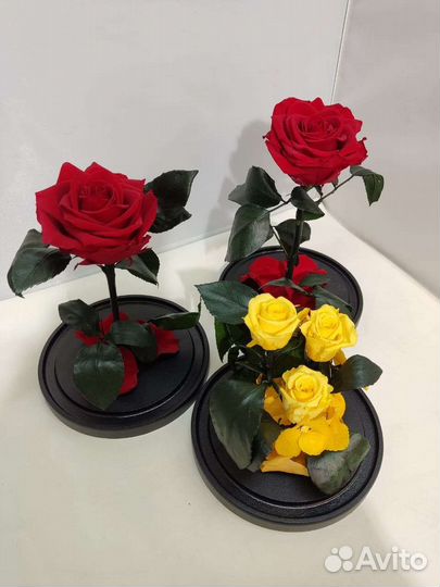 Роза в колбе опт