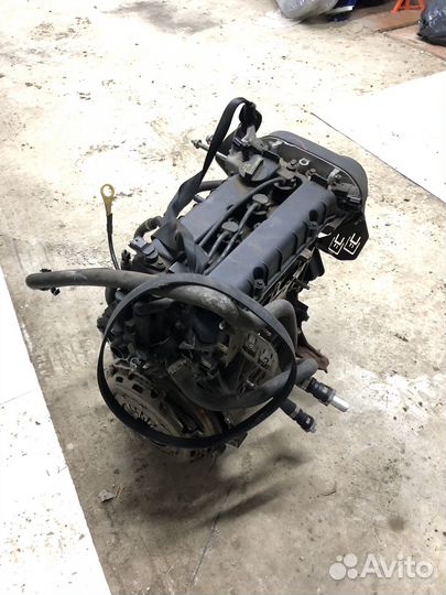 Двигатель duratec 1.6 ti-vct (123 л.с) pnda