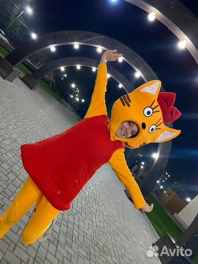 Аниматоры. Шоу