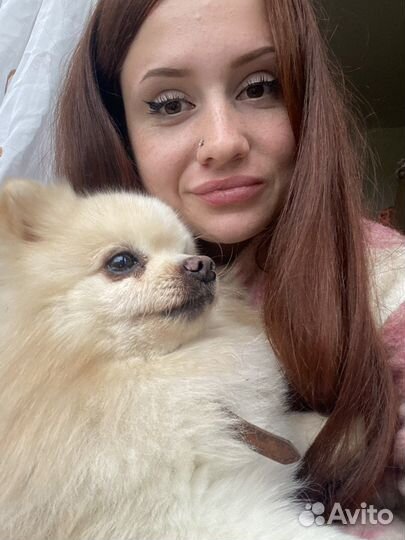 Передержка животных и птиц на время отпуска