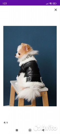 Куртка для маленькой собаки