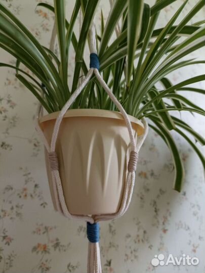 Макраме кашпо для цветов