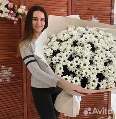 Хризантема Букеты с доставкой