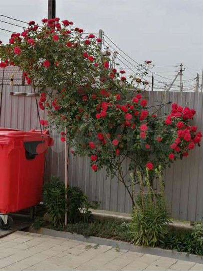 2-к. квартира, 54 м², 1/3 эт.