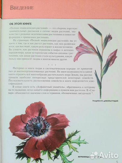 Энциклопедии 