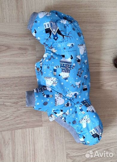 Комбинезон на маленькую собачку мальчика
