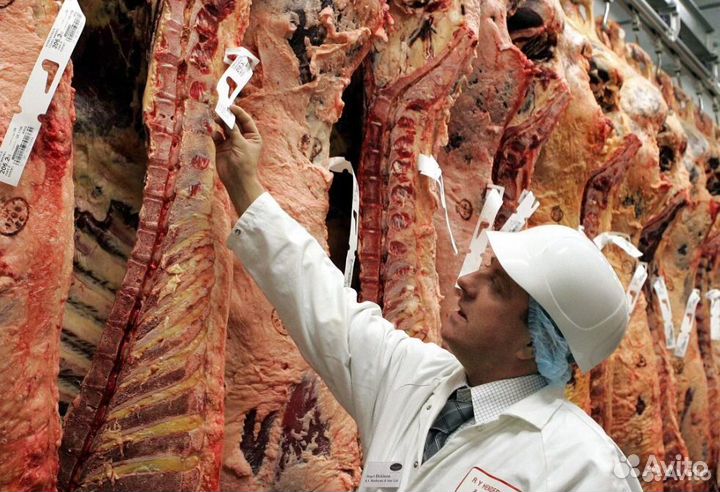 Готовый бизнес ищет займ, доход 25450 в мес