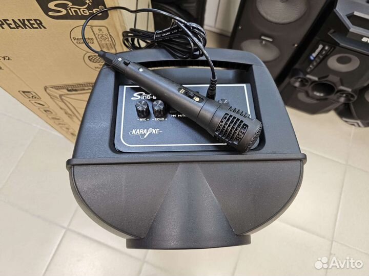 Большая портативная аудиосистема 40Вт (Чап50)