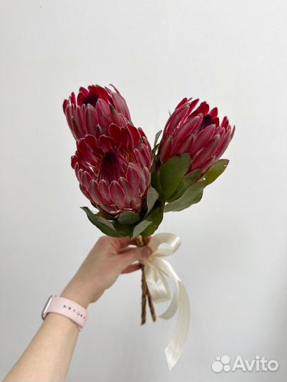 Букет из трёх протей