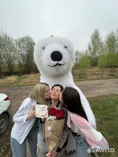 Поздравление от большого белого медведя