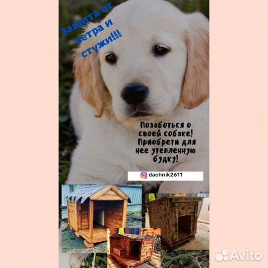 Будка для собаки