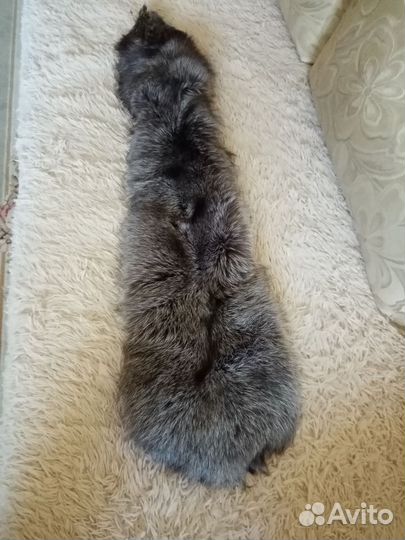 Мех серебристой лисы(шкурка)