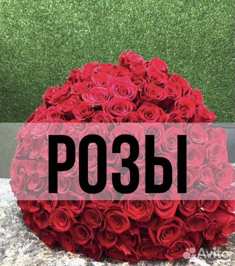Розы Доставка цветов 101 роза