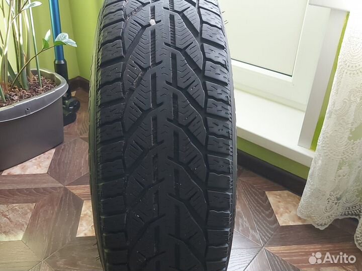 Tigar Winter 205/65 R16