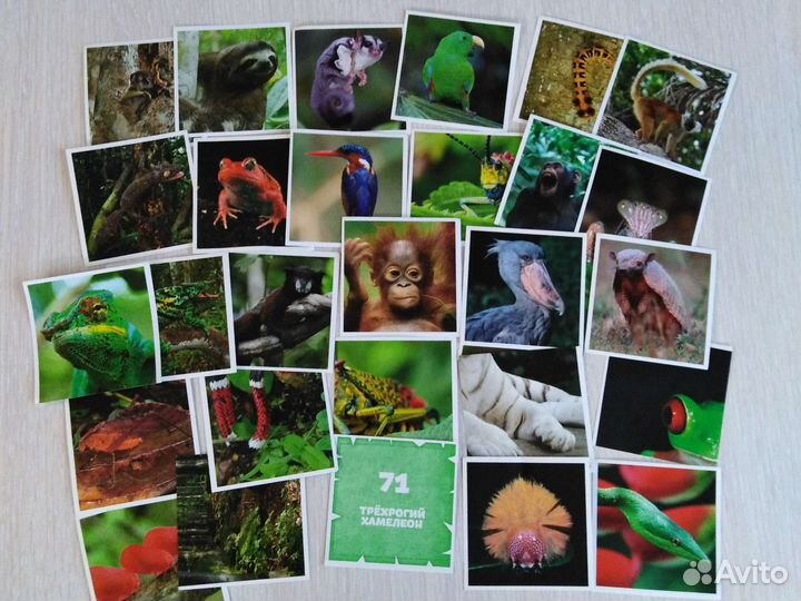 Наклейки, стикеры. Спар, Билла, Карусель