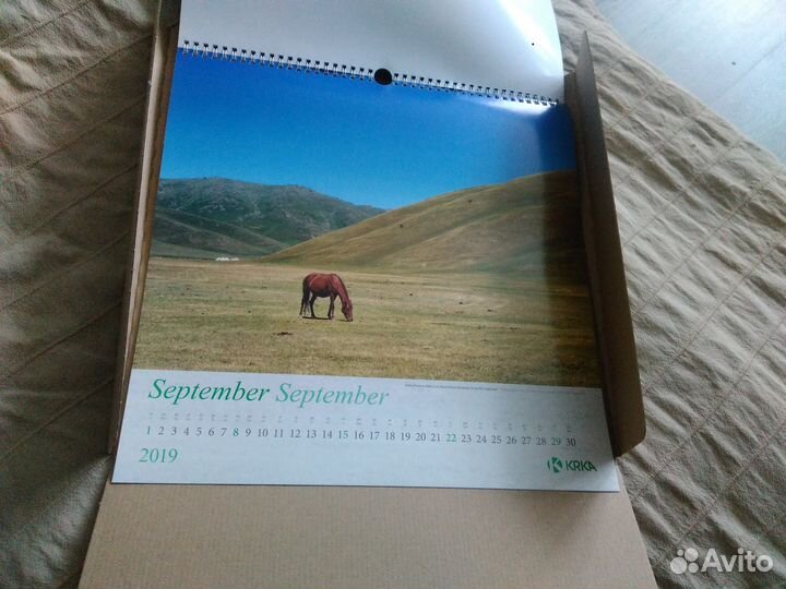 Ежедневник с календарем, новые, на 2019 г