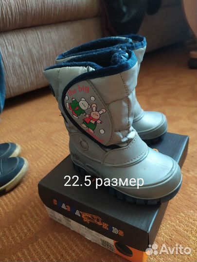 Сноутбутсы