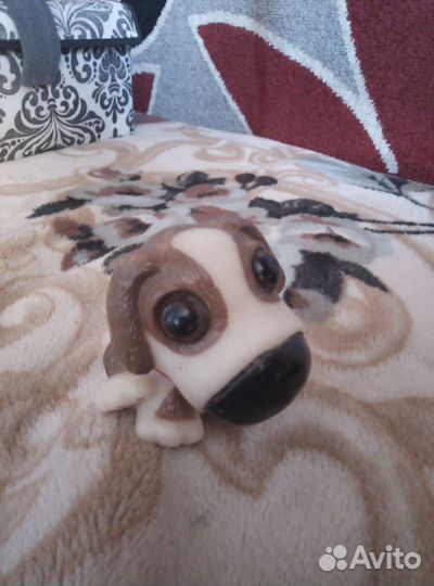 Копилка собочка