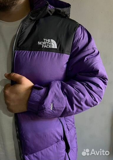 Куртка мужская The North Face фиолетовая