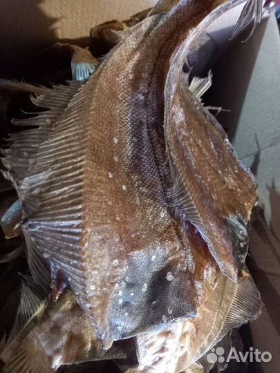 Камбала ерш вяленый и филе ерша