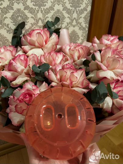 Прогулочный шарик для грызунов 14 см