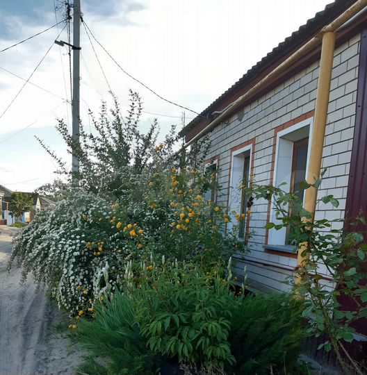 Дом 84,9 м² на участке 7,4 сот.