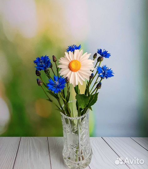 Цветы и ягоды из холодного фарфора