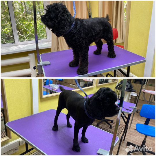 Груминг собак/ стрижка собак