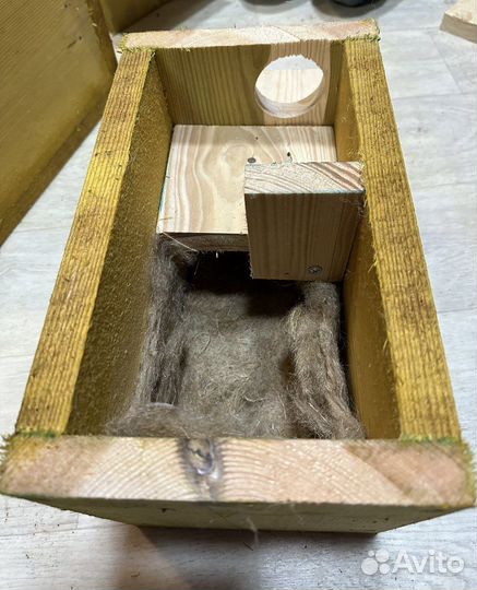 Бельчатник, утепленный, правильный