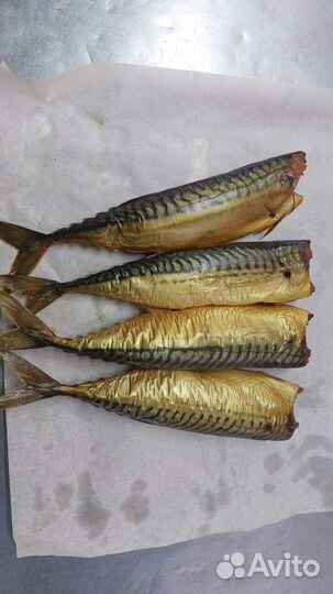 Скумбрия холодного копчения