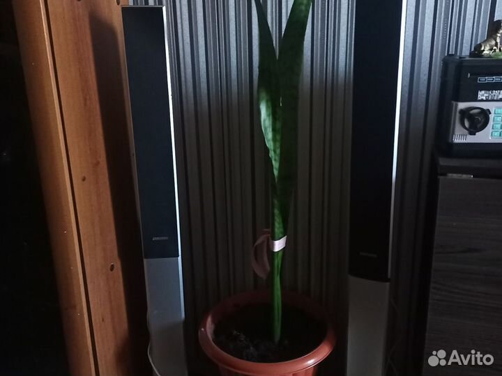 DVD Samsung, калонки отдельно