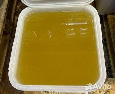 Донниковый свежий натуральный мёд 2023 г. опт