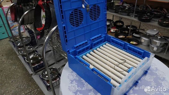 Умный инкубатор 