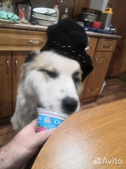 Кабель на вязку