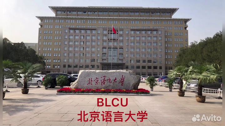 Языковая стажировка в Китае, языковые курсы