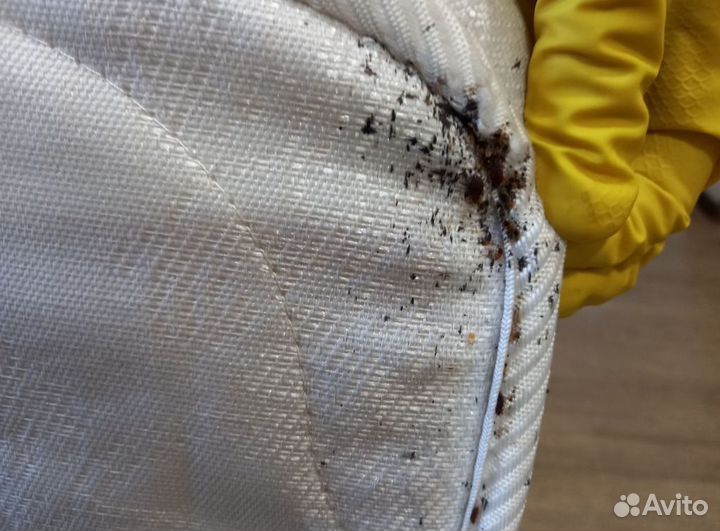 Дезинфекция.Уничтожение тараканов,клопов.Гарантия