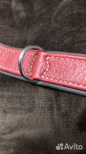 Ошейник для собак