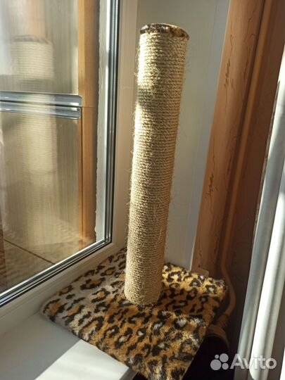 Когтеточка для любимых кошачьих лап