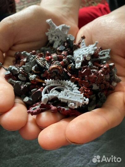 Old world eater bits