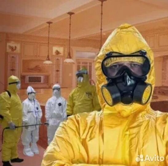 Барнаул Уничтожение Комары Мошка Клопы Тараканы